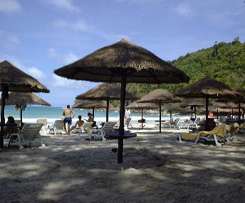 �I���E�U�E�r�[�`