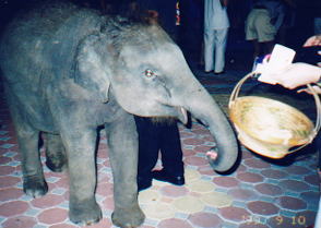 ファンタシー12