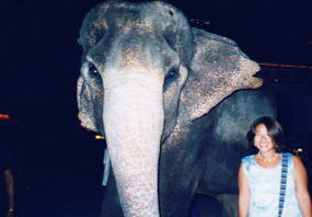 ファンタシー13