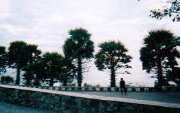 プロンテップ岬