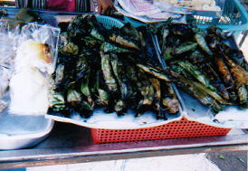 �^�C�����܂�